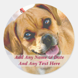 Ihr eigenes Foto und benutzerdefinierte Textkleber Runder Aufkleber