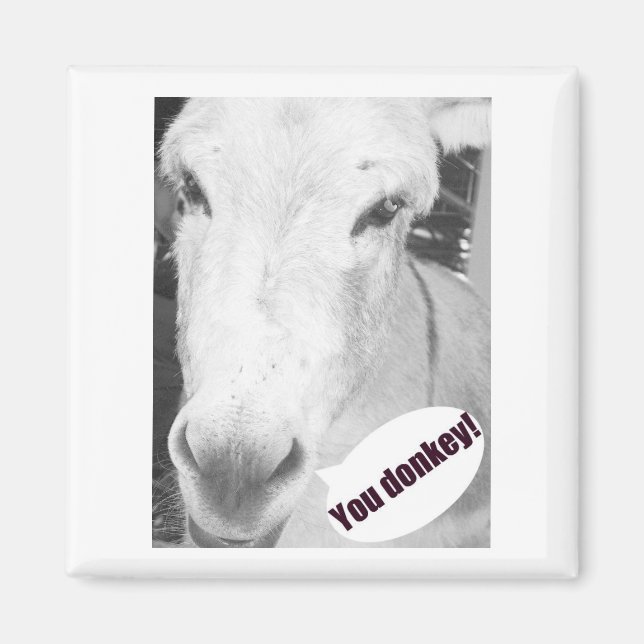 Ihr Esel Magnet (Vorne)