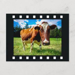 IHR FOTO auf der Postkarte "Filmstreifen"