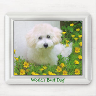 Ihr Foto auf Mousepad