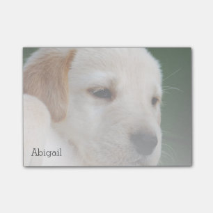 Ihr Foto automatisch verblaßt allmählich Post-it Klebezettel