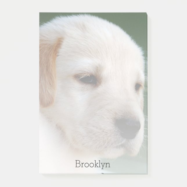 Ihr Foto automatisch verblaßt allmählich Post-it Klebezettel (Vorderseite)