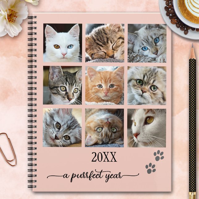 Ihr Foto Collage Niedlich Cat Planner Planer (Planner featuring your custom (cat) photos framed by a simple pink design with cute paw prints)