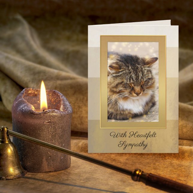 Ihr Foto Elegante Gold gestreifte Cat Sympathy Car Karte (Von Creator hochgeladen)