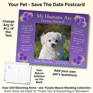 Ihr Foto für Haustiere Save the Date Lila Mauve Bl Postkarte