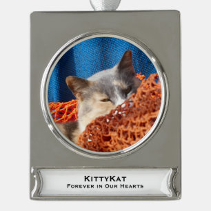 Ihr FOTO für Heimtiere oder Hunde, Name, Banner-Ornament Silber