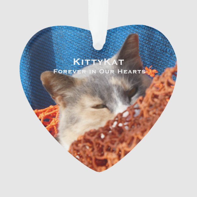 IHR FOTO für Heimtiere oder Hunde Personalisiert A Ornament (Vorderseite)