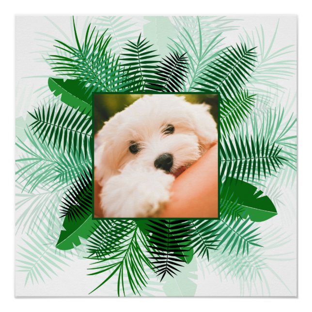 Ihr Foto in einem Palm Leaf Frame Custom Poster (Vorderseite)