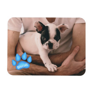 Ihr Foto mit dem Namen in Paw Print Magnet