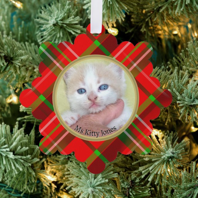 Ihr Foto/Text - Traditionelles jährliches Geschenk Ornament Karte (Insitu (Baum))