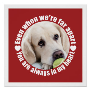 IHR FOTO weit weg von der Liebe benutzerdefinierte Poster