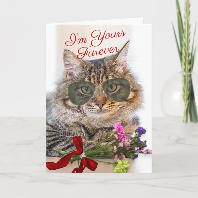 Ihr Furever Valentinstag Schöne Katze Karte (Vorderseite)