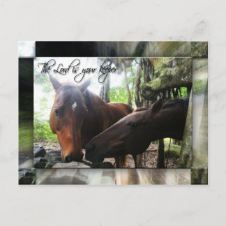 Ihr Halter Postkarte