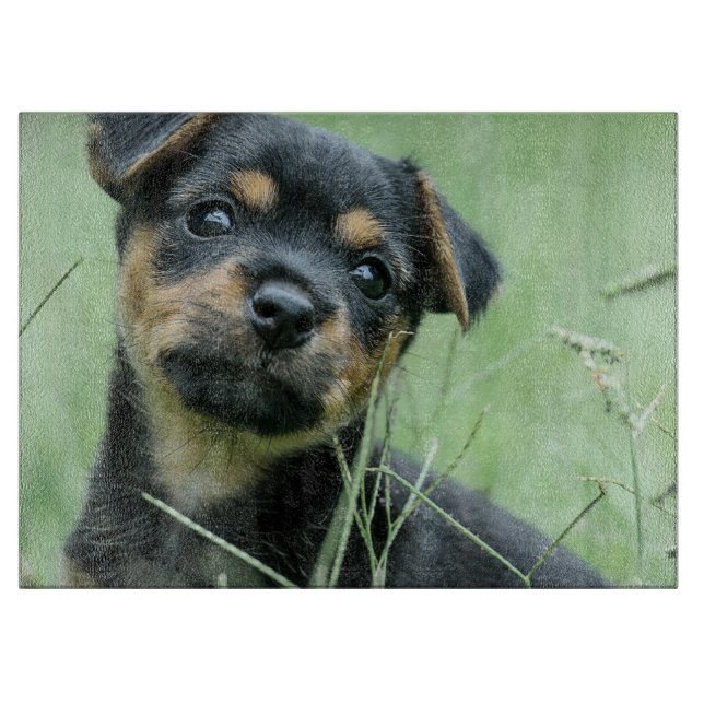 Ihr Hausbild personalisiert die Glaszuführung Schneidebrett (Vorderseite)