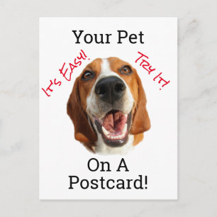 Ihr Haustier auf einer Postkarte