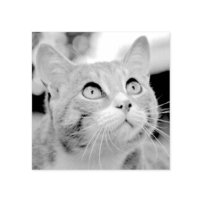 Ihr Haustier | Aus Foto | Benutzerdefiniert Gummistempel (Prägung)