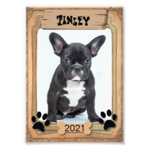 Ihr Haustier - dekorative Fotovorlage