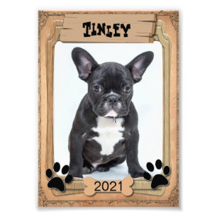 Ihr Haustier - dekorative Fotovorlage Fotodruck