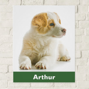 Ihr Haustier Hund Foto Personalisierte Tiere Poster