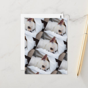 Ihr Haustier Hund Welpe benutzerdefinierte Foto ch Postkarte