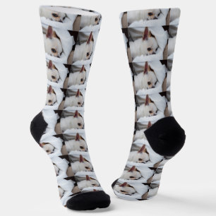 Ihr Haustier Hund Welpe benutzerdefinierte Foto ch Socken