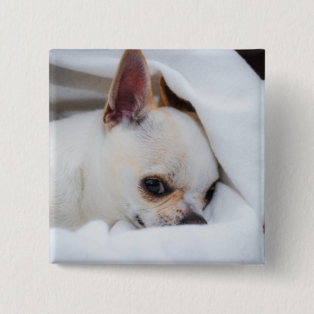Ihr Haustier Hund Welpe Foto chihuahua Button (Vorderseite)