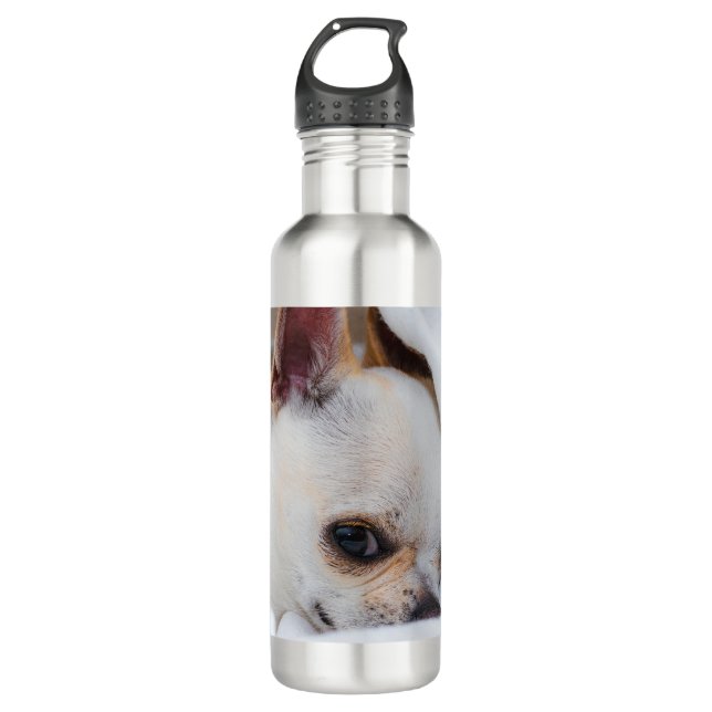 Ihr Haustier Hund Welpe Foto chihuahua Edelstahlflasche (Vorderseite)