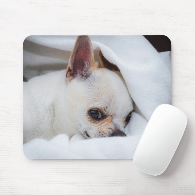 Ihr Haustier Hund Welpe Foto chihuahua Mousepad (Mit Mouse)