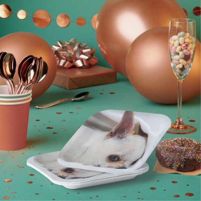 Ihr Haustier Hund Welpe Foto chihuahua Pappteller (Multi)