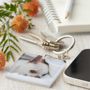 Ihr Haustier Hund Welpe Foto chihuahua Schlüsselanhänger