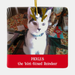 Ihr Haustier mit nassem Rentier-Foto Keramikornament