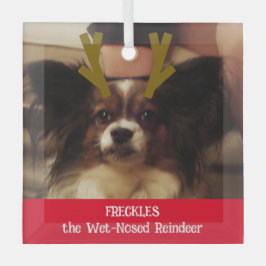 Ihr Haustier mit nassem Rentier-Foto Ornament Aus Glas