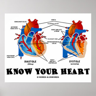 Ihr Herz kennen (Diastole Systole) Poster