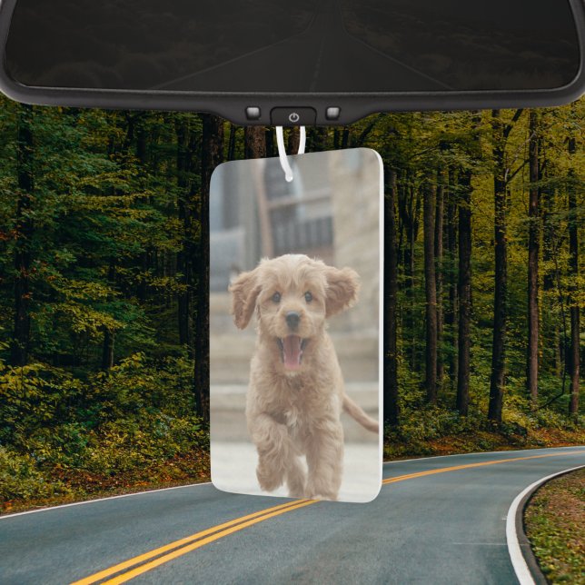 Ihr Hund | 2 Foto Niedliches Pet-Bild hochladen Autolufterfrischer (Your dog photo air freshener by Guava, a fun custom gift for pet lovers and proud dog parents)