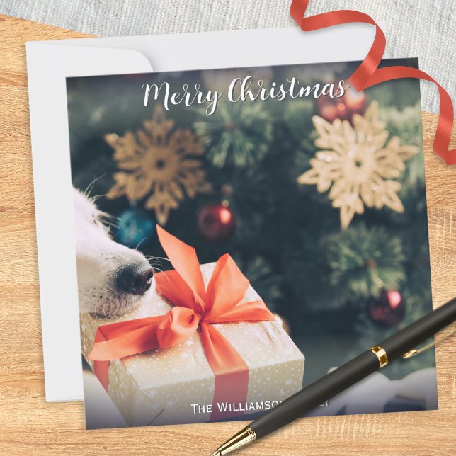 Ihr Hund Foto Individuelle Name Moderne frohe Weih Feiertagskarte (A Christmas card for you to personalize with a photo of your dog and your own text underneath)