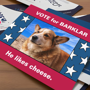 Ihr Hund in der lustigen US-Wahlkampagne Parody 20 Postkarte