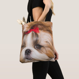 Ihr Hundewelpen-Foto