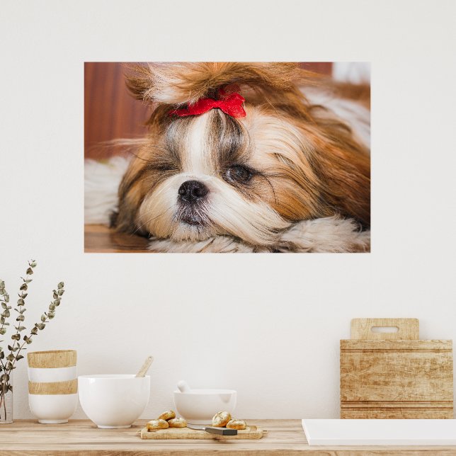Ihr Hundewelpen-Foto Poster (Küche)