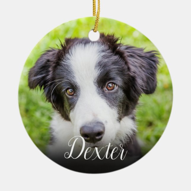 Ihr Lieblings-Foto für Haustiere Keramik Ornament (Vorne)