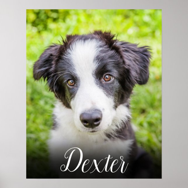 Ihr Lieblings-Foto Poster (Vorne)