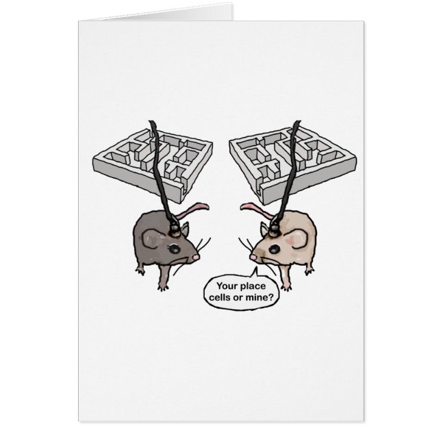 Ihr Ort (Zellen) oder meine? (Vorne)