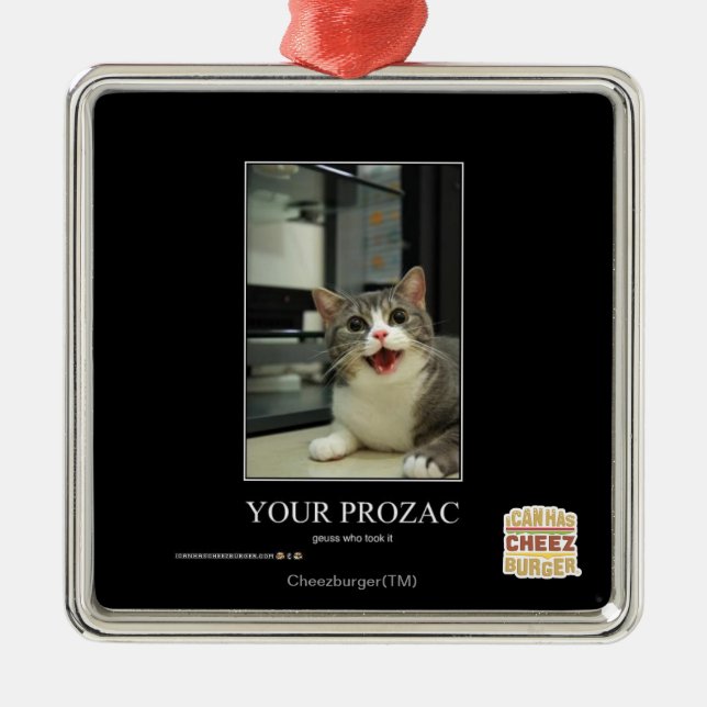 Ihr Prozac Ornament Aus Metall (Vorne)