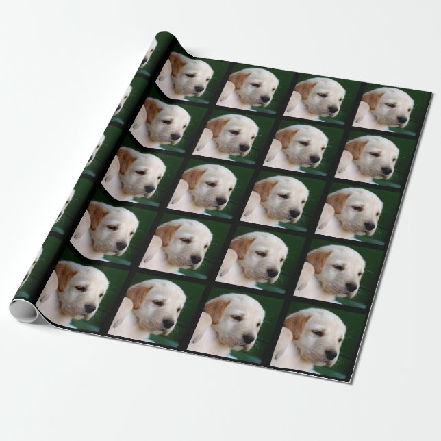 Ihr quadratisches Foto ersetzt Labrador-Welpen Geschenkpapier (Ungerollt)