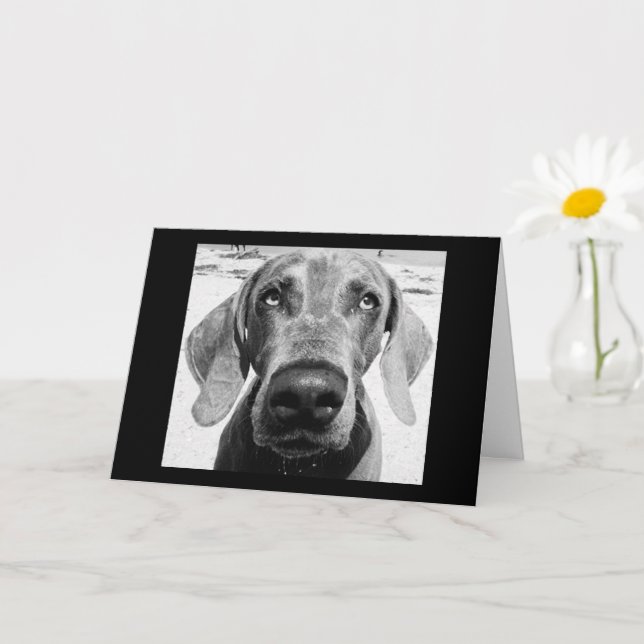 IHR RETIRING "LUCKY DOG!" KARTE (Kleine Pflanze)