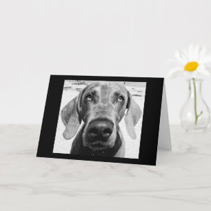 IHR RETIRING "LUCKY DOG!" KARTE