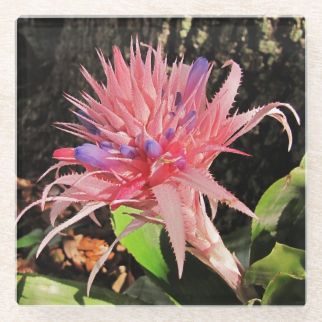 Ihr Untersetzer aus Glas (Vorderseite)