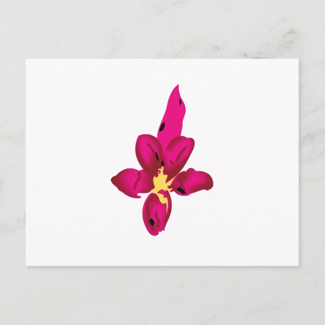 Ihr Urlaub in Ihrem Pocket Postkarte (Vorderseite)