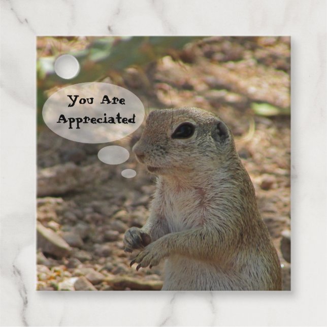 Ihr werdet von einem Tier mit Eichhörnchen geschät Geschenkanhänger (Vorderseite)