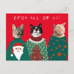 Ihre 3 Katzen in Ugly Christmas Sweaters Postcard Postkarte