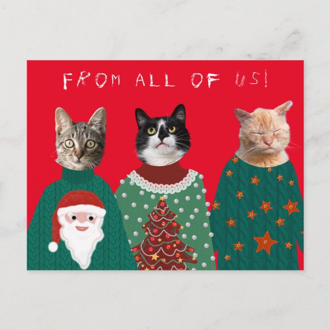 Ihre 3 Katzen in Ugly Christmas Sweaters Postcard Postkarte (Vorderseite)